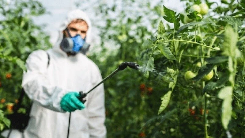 Stop Legal Immunity for Pesticide Companies